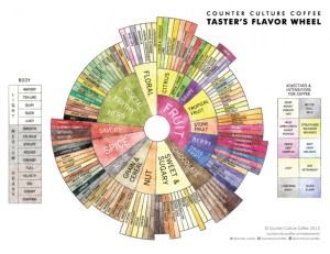 Counterculture Coffee's flavor wheel