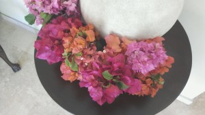 Oler las flores regularmente nos ayuda a entender los perfumes florales en el café.